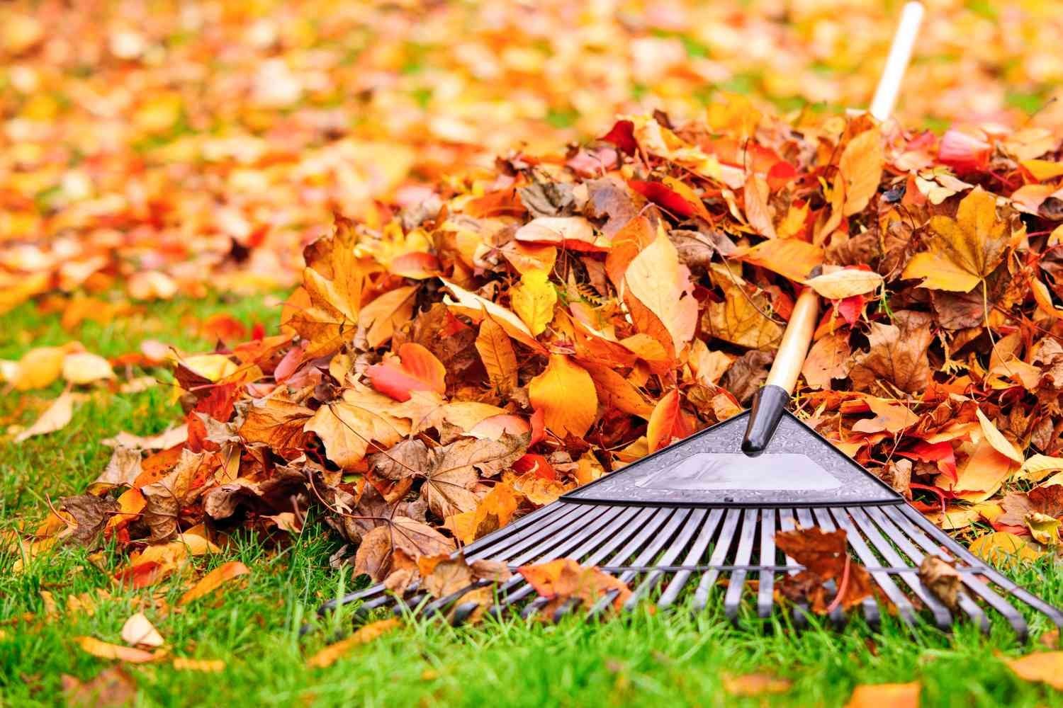 fall-yard-cleanup-important-for-lawn-garden-getty-0923-a52f9e8c61134458b40f5ffef72d3e2b.jpg